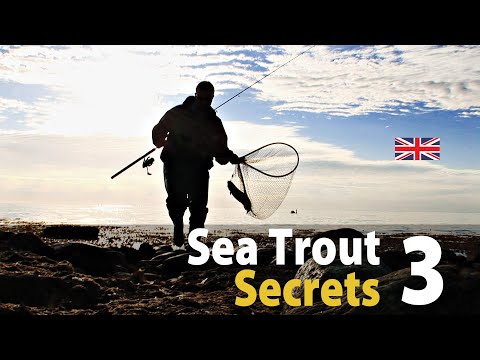 Sea Trout Secrets 3 - Spin fishing