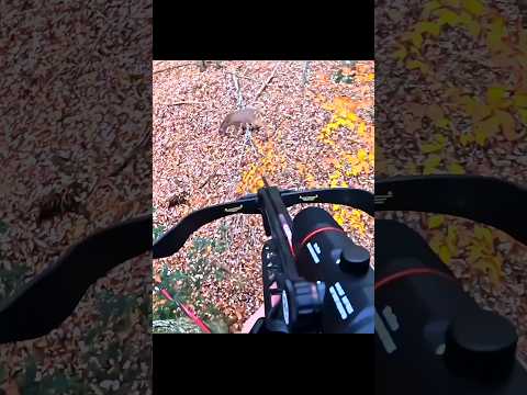 Very unlucky today for deer hunting 😔 #deer #bucks#bow #buckhunting #hunting #deerhunting#archery