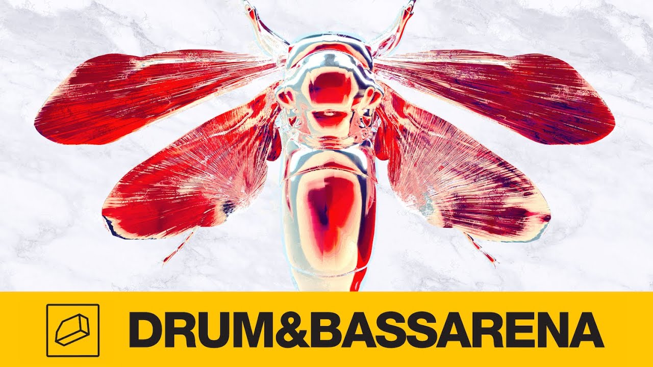 YAANO & Wingz - Pattern (VISLA Remix)