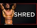 SHRED AND TONE (Home workout for men and women)