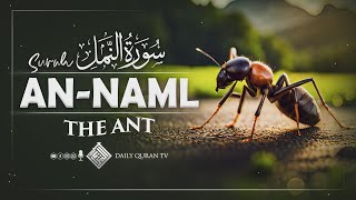 Download lagu Surah Naml | Story of Prophet Sulaiman (AS) | Full Quran Recitation | Daily Quran TV mp3 Download lagu Surah Naml | Story of Prophet Sulaiman (AS) | Full Quran Recitation | Daily Quran TV mp3