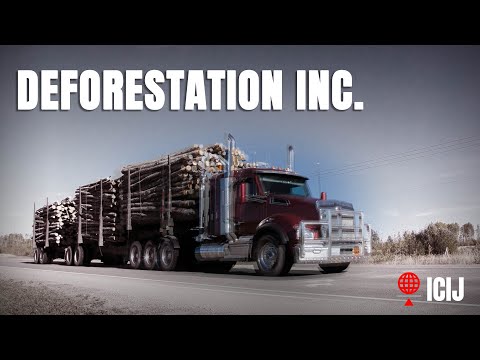 Deforestation Inc: How green labels can hide environmental harm