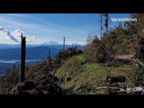 Viaggio sul Campo dei Fiori devastato dal vento