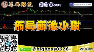 【大戶羅盤籌碼動能】 #謝宗霖0929，佈局節後小樹 (圖)