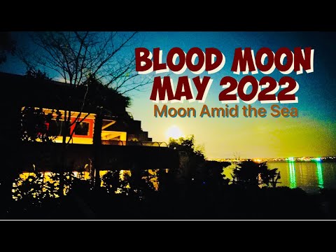 Sing to the Scorpio Moon | May 2022 | Ce la Luna Mezzo Mare Funny Sicilian Song