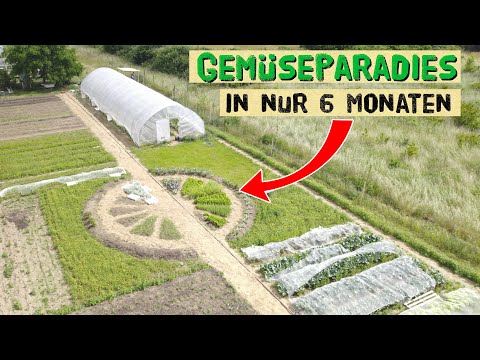 A huge vegetable garden created in a short time - Market gardening in Germany - Starting a nursery
