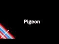 How to Pronounce Pigeon
