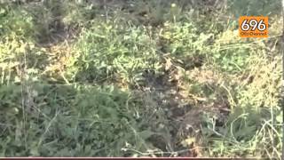 parte-un-colpo-di-fucile-ferito-durante-la-caccia