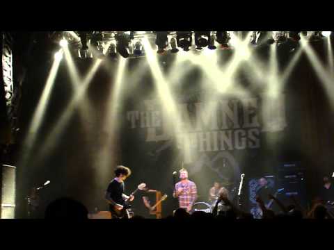 The Damned Things - 