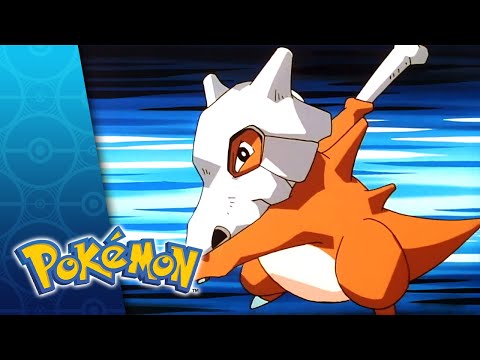 The School of Hard Knocks | POKÉMON FULL EPISODE 9 | Season 1