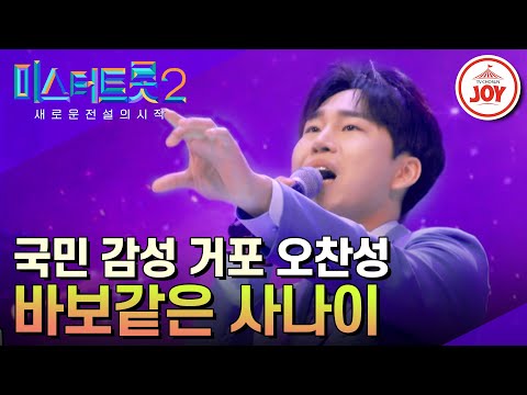[미스터트롯2]장민호가 극찬한 무결점 무대!! 오찬성의 ’바보같은 사나이’(230202 방송)