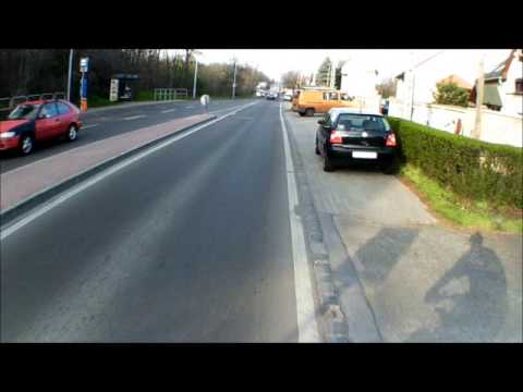 ECN 413 A büdös gyökér