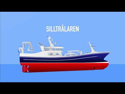 poster-bild för video