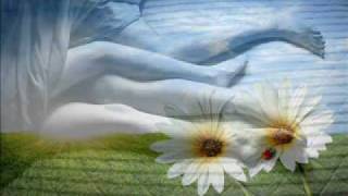 STEVE HOLY - GOOD MORNING BEAUTIFUL (with Lyrics)