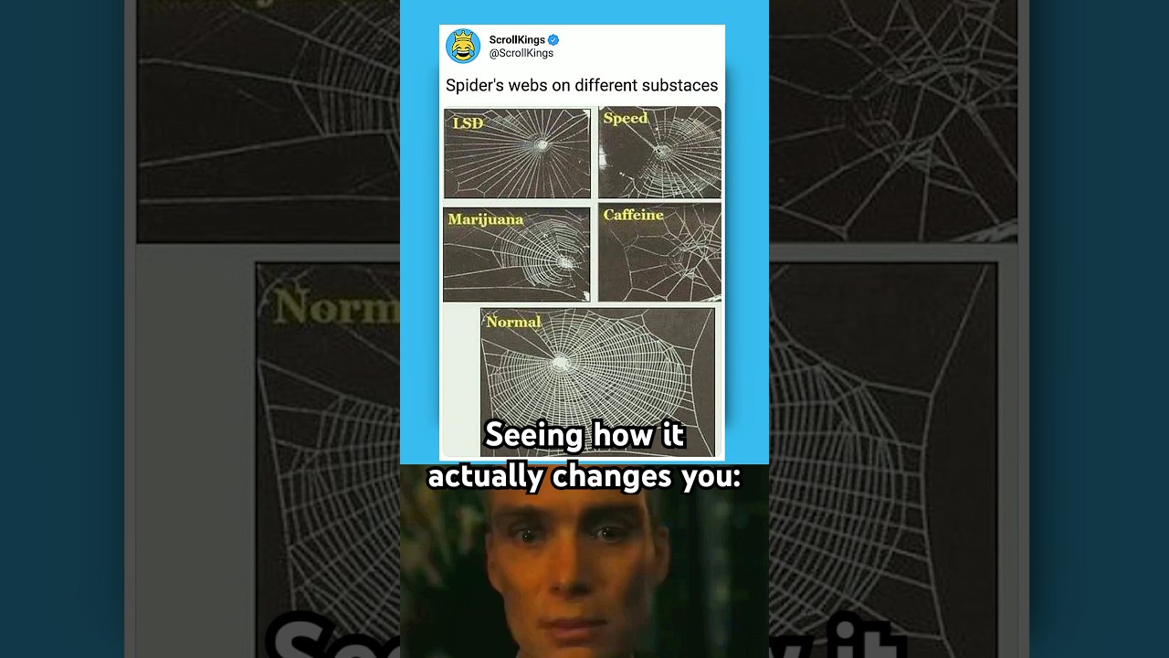 They make a difference 😬