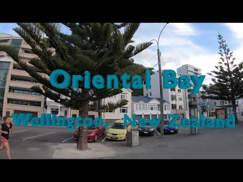 Oriental Bay Wellington New Zealand | Oriental Bay Beach Wellington | Places to Visit in Wellington