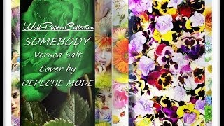 Somebody - Depeche Mode COVER by Veruca Salt - WallPapersCollection