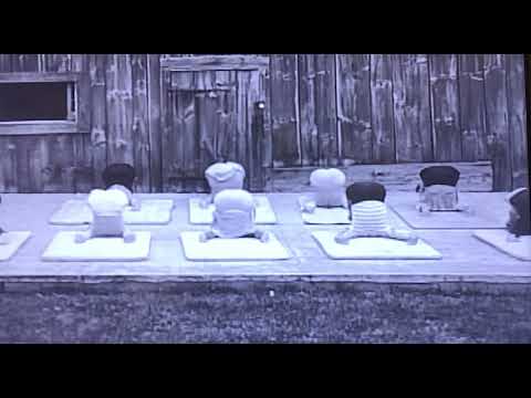 Joseph Pilates original mat work