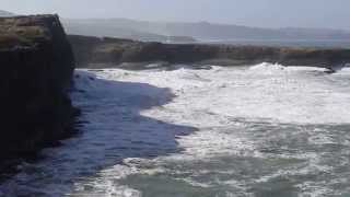 preview picture of video 'Tautuku Peninsula, Catlins'
