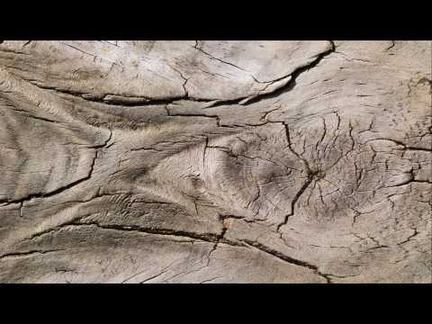 Wadadda - Sometimes I'm Shy (refix preview)