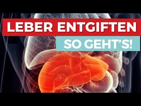 High liver values! How to help yourself with TCM