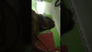 Download lagu 10 Maret 2023 mp3