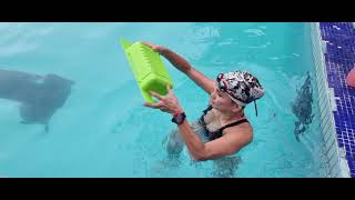 NATACIÓN TERAPEUTICA PARA HERNIA DE DISCO