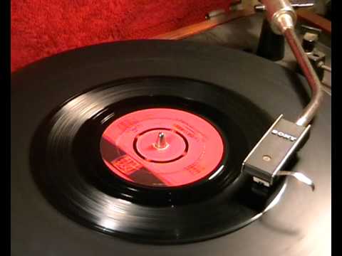 TERRY SCOTT - 'I Like Birds' - 1966 45rpm