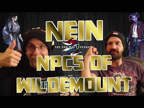 Critical Role Campaign 2 | EP 9 Recap and Review | NPCs of Wildemount!