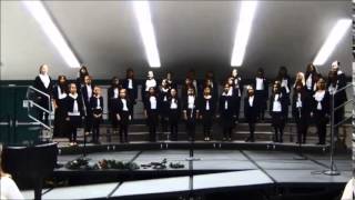 Cover art for Solitary Snowflake 2014