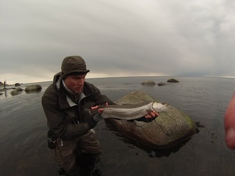 Fly Fishing 4 Ever.  Seatrout fishing Bornholm Denmark 2014