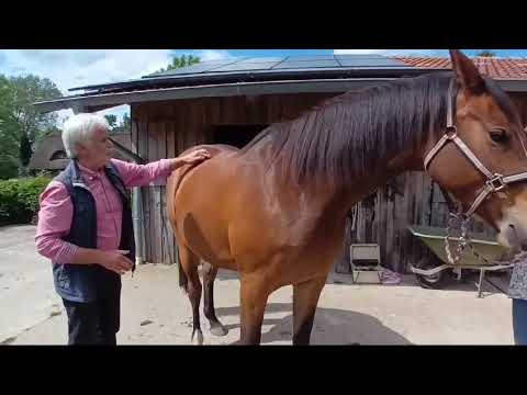 Kurzvorstellung Christian Torp, AOE