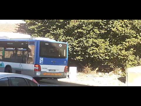 STCP Linha 805 Veiculo 3244