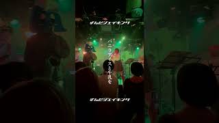 コーレス練習 / Improvisation - 【LIVE】ずんだシェイキング #jazz  #演歌 #shorts