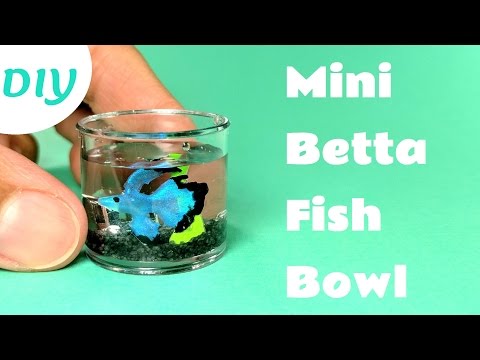 DIY Miniature Betta Fish Bowl