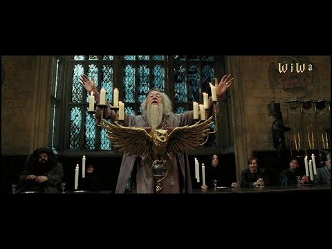 Fresh Dumbledore feat. Hermi G - Mein Fleisch [WiWa Music Video] (HD)