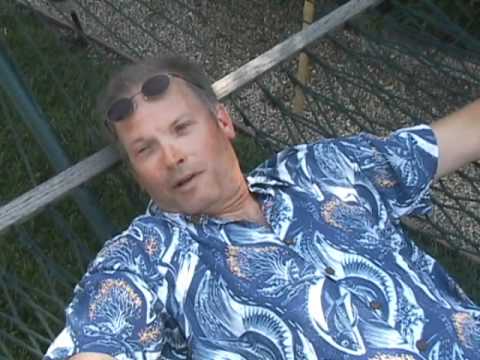 In Plain Sight   David Martin   Gerald Brodin