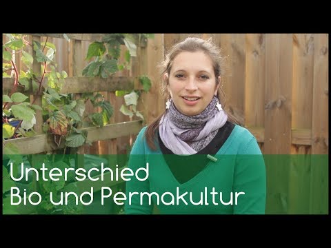 Der Unterschied zwischen Bio und Permakultur