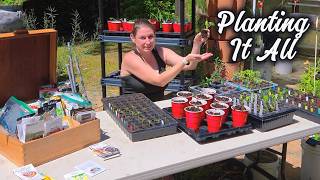 Everything I’m Planting in My Garden This Week 🌱 (Seeds, Seedlings & Flowers)