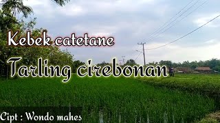 Download lagu kebek catetane tarling cirebonan terbaru -a'am ayu aginnah mp3