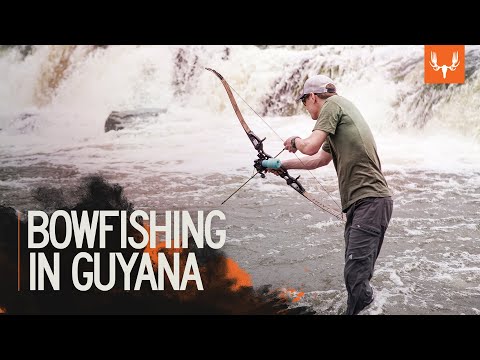 Bowfishing in Guyana | MeatEater Season 7