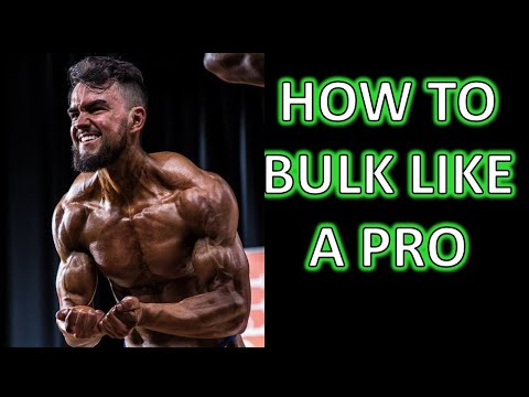 #12: HOW TO GAIN MUSCLE LIKE A PRO with Steve Hall