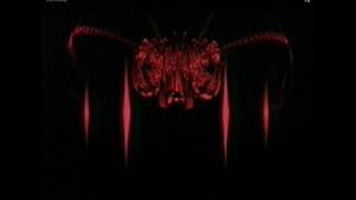 Majesty - Aria Of Bravery [320kbps]