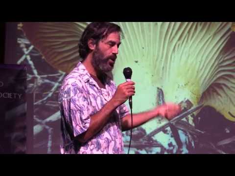 download lagu mp3 mp4 Jordan Weiss, download lagu Jordan Weiss gratis, unduh video klip Jordan Weiss