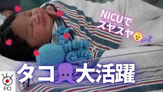 タコの「編みぐるみ」病院で大活躍