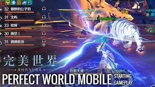 Perfect World Mobile (CN) - Starting gameplay