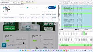Botanik Yazılım - Depo Web Siparişi Yardımcısı