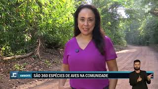 Miniatura do vídeo