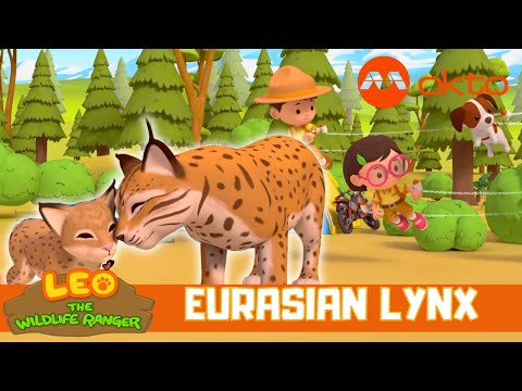 The KITTEN must MEOW for MOM to find it! | Leo the Wildlife Ranger Spinoff S4E13 | @mediacorpokto