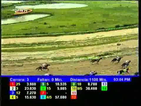 Resumen Sábado, 16 de Agosto de 2014 - La Rinconada